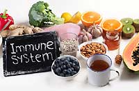 Makanan untuk Meningkatkan Sistem Imun Tubuh